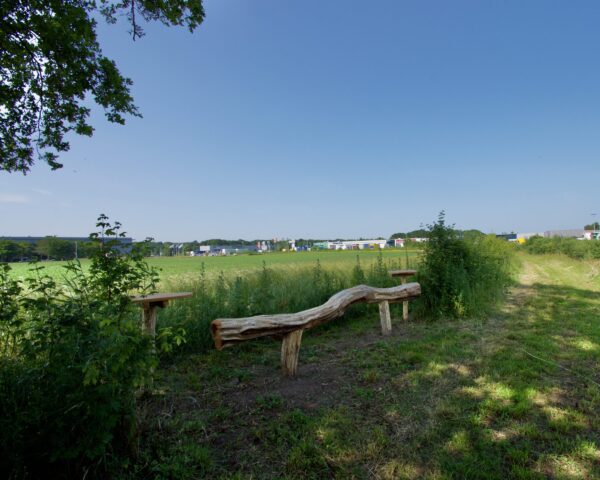 Wandelroutes op de Ecofactorij